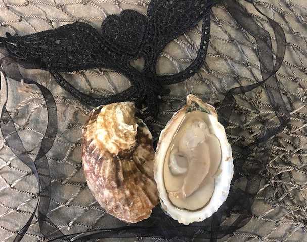  Paramour Oyster - 25 count